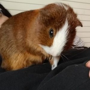 Meet your Posher, Charlene